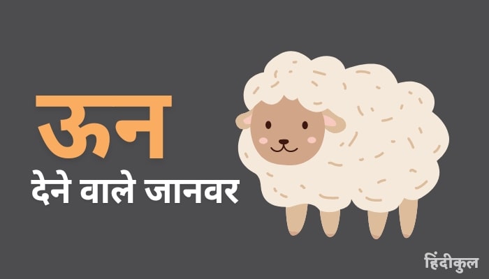 ऊन देने वाले जानवरों के नाम 1 ऊन देने वाले जानवरों के नाम